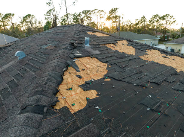 Best Roof Moss and Algae Removal  in Erie, CO